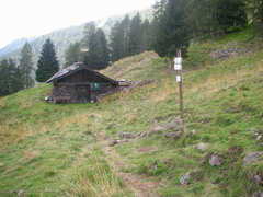 E368-ldp003-00-p02-180913-