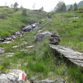 E368-170711-ED-05808-verso-Valzancheta