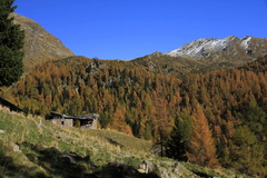 E368-MalgaValzanchetta-td-3