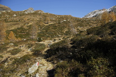 E368-sentieroValzanchetta-td-2