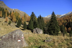 E368-sentieroValzanchetta-td-4