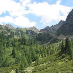 sentiero