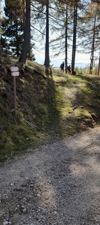 E371-ldp008-00-p02-311024-MC