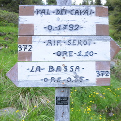 ldp