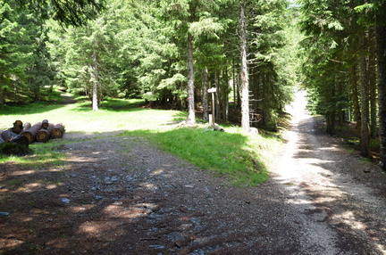 E372B-ldp002-01-p01-180608-ED