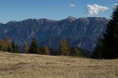 E372B-171008-td-6920-4