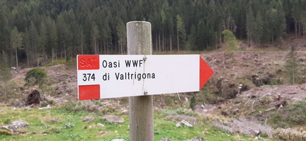 E374-ldp001-01-d01-20200923-td