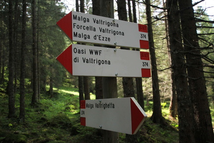 E374-ldp002-00-d1-170820-td-4349