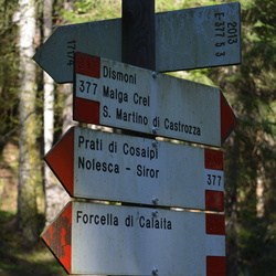005-00