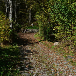 015-00