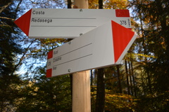 E378-ldp017-00-d1-161028-RB-0058