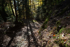 E378-ldp017-00-p2-161028-RB-0059