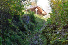 E378-ldp029-00-p1-161028-RB-0081