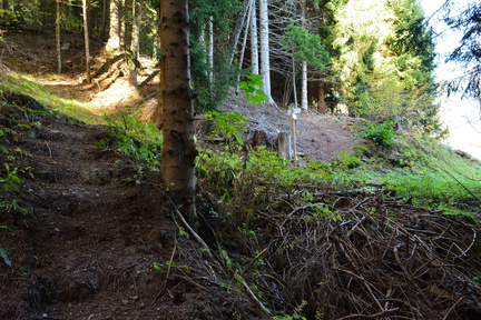 E378-ldp031-00-p1-RB-161028-0085