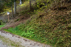 E378-ldp033-00-p1-RB-161028-0089