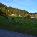 E378-161028-RB-0103 (8 visite) E378-161028-RB-0103