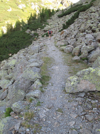 E380-110823-70 (24 visite) E380-110823-70