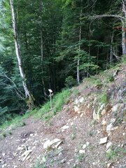 E383-ldp004-00-p01-230818-Deb