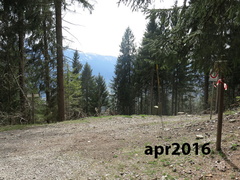 384-ldp002-05-p1