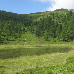 sentiero
