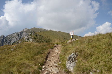 E386ldp001-00-p01-170826-ED