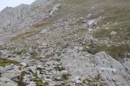 E386-ldp003-00-p01-170826-ED