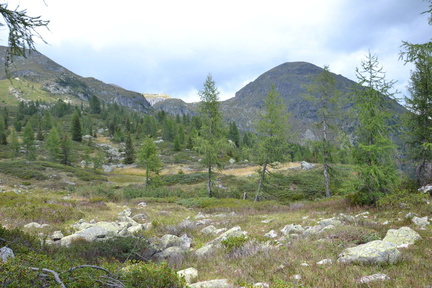 E387-20170818-MB-pr.Laghi