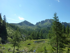 E387-sotto-Forcella-Viosa