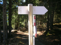 E388-ldp009-00-171118-gb-75