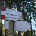 DSCN8080