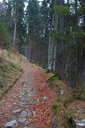 E390-171011-td-2028 (35 visite) E390-171011-td-2028