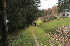 E391-MontePicosta-td12