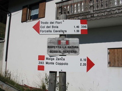 E393-ldp001-00-d1-old