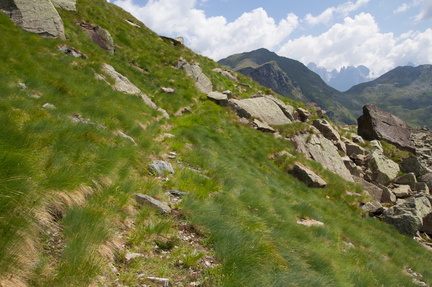 E394-15-pr-Forcella-Miesnota-td-0068