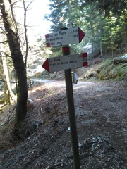 E395-ldp009-00-d01-180618-LG