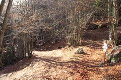E395-ldp011-00-p3