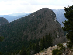 E395-04