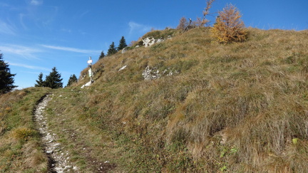 E396-ldp002-00-p01-old-161028-ED