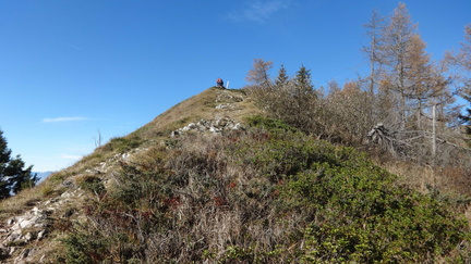 E396-161028-ED-03446