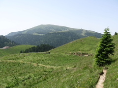 E396-20120701-MB-sentiero2