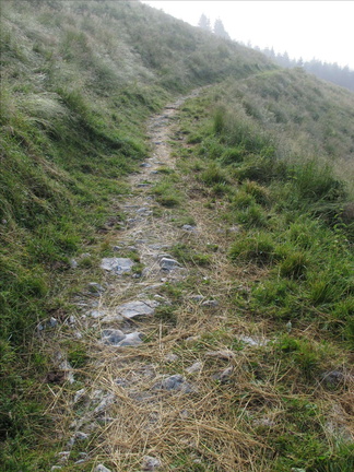 IMG-2970 (40 visite) IMG-2970