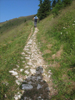 IMG-2978