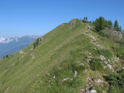 IMG-2990