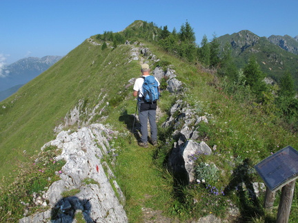 IMG-2992