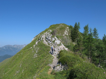 IMG-2998