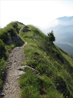 IMG-3001