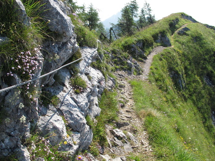 IMG-3003