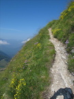 IMG-3007