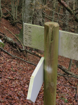 E397-ldp009-00-d2-161022-EG-bivio1-E397-397A