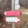 E397B-ldp001-00-d02-252903-MG.jpg